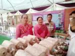 ของดีตำบลทุ่งขนาน หมู่ 15 บ้านซับตารี 2 ศูนย์เพราะเห็ดนางฟ้า